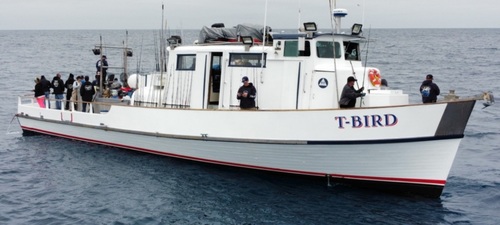 Point Loma Sportfishing - San Diego, CA